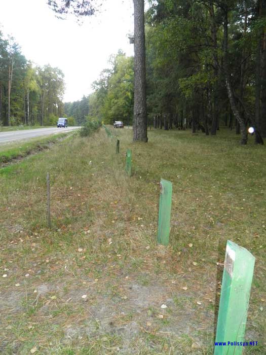 Знищена огорожа на місці відпочинку (неподалік Бахової гори)
