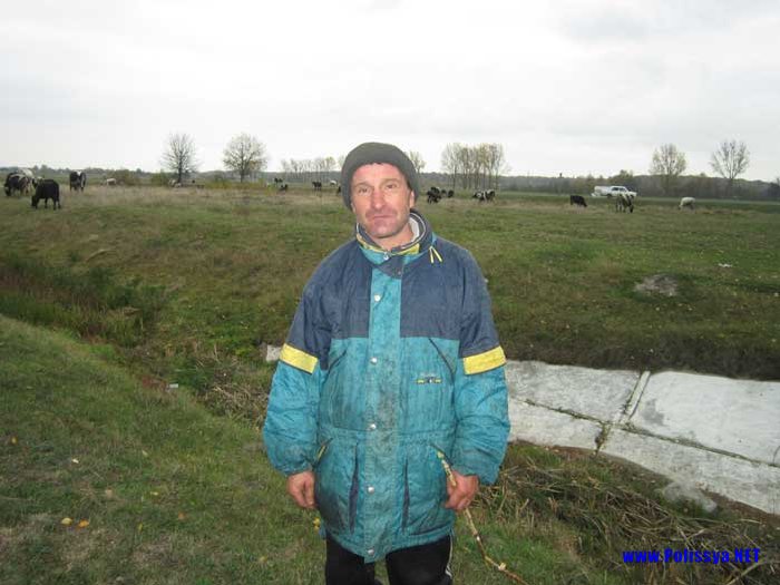 Олексій Усік с. Чаква на Володимиреччині на випасі корів