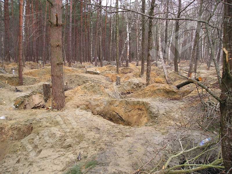 Бурштинний клондайк на Володимиреччині