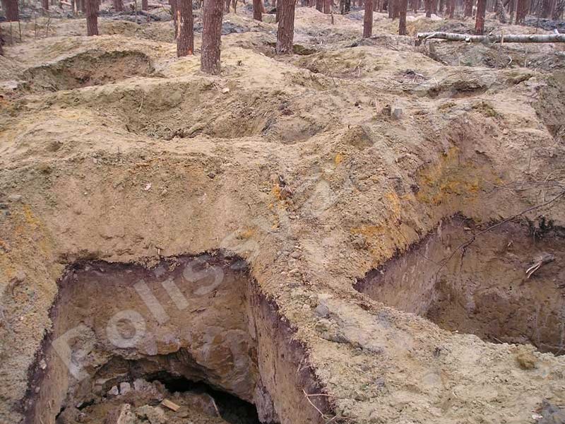 Бурштинний клондайк на Володимиреччині Бурштинний клондайк на Володимиреччині