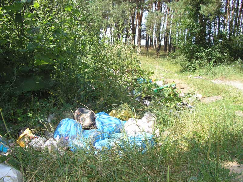 Засмічені ліси Володимиреччини