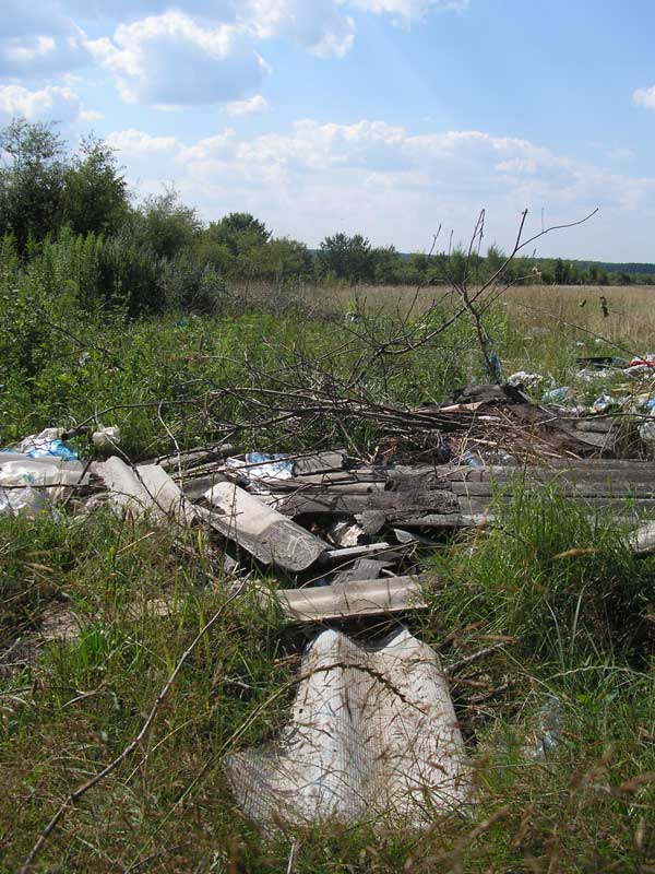Засмічені ліси Володимиреччини