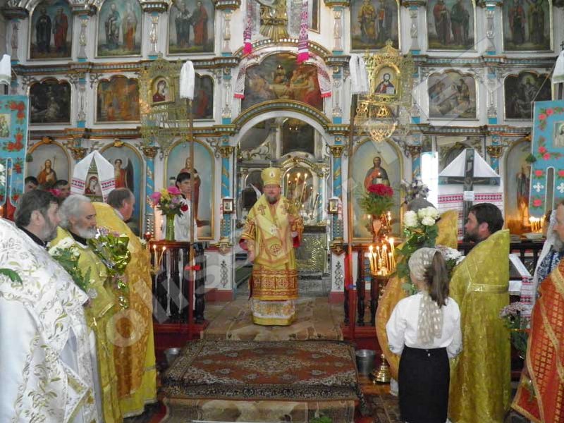 Фестиваль 